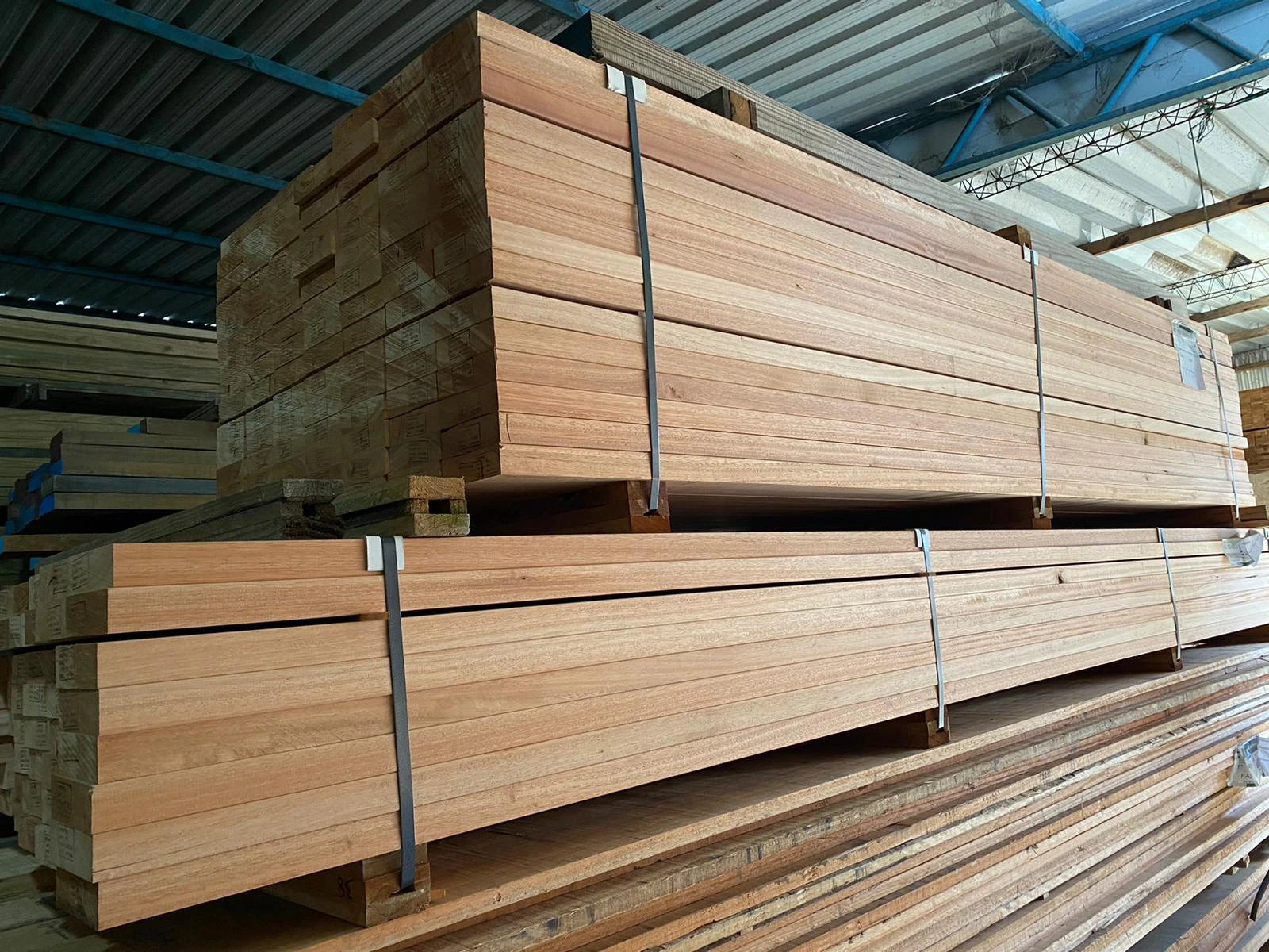 Vigas estructurales de Eucaliptus