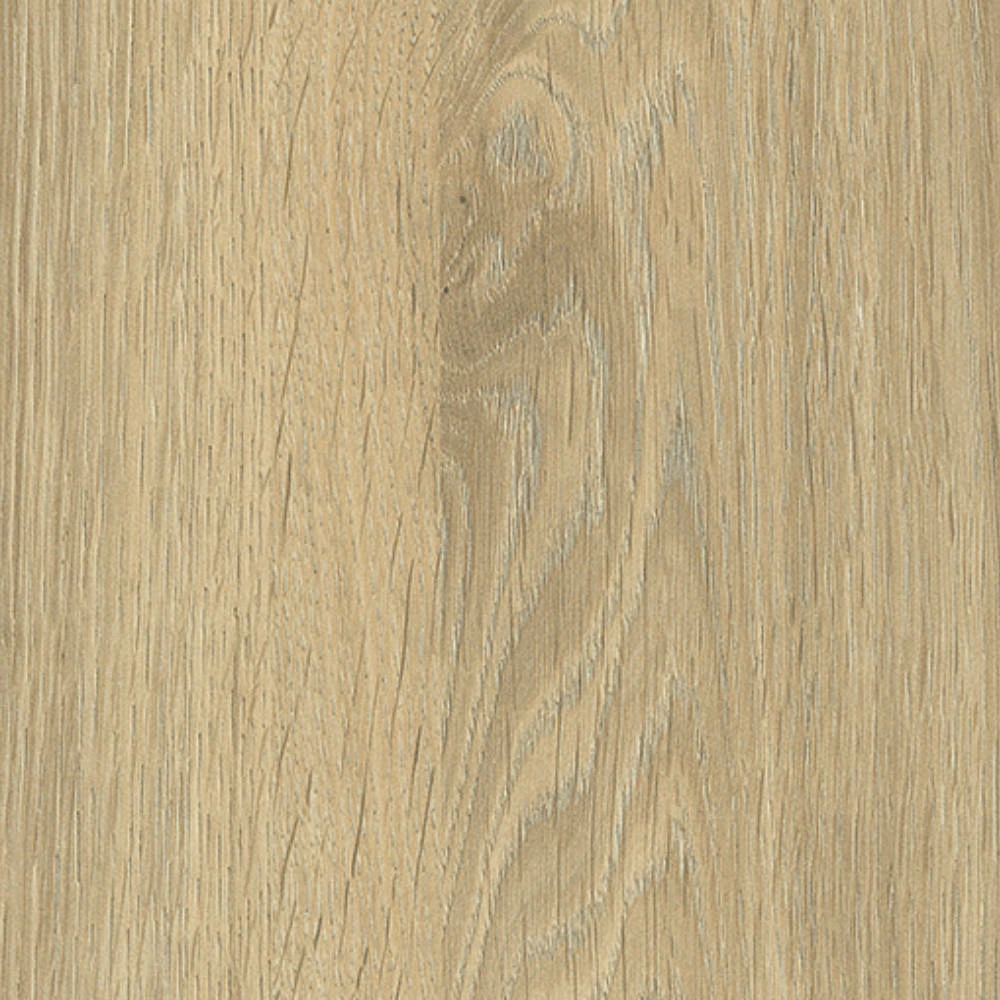 CANTO ABS ROBLE DAVOS NATURAL 23×0.8MM