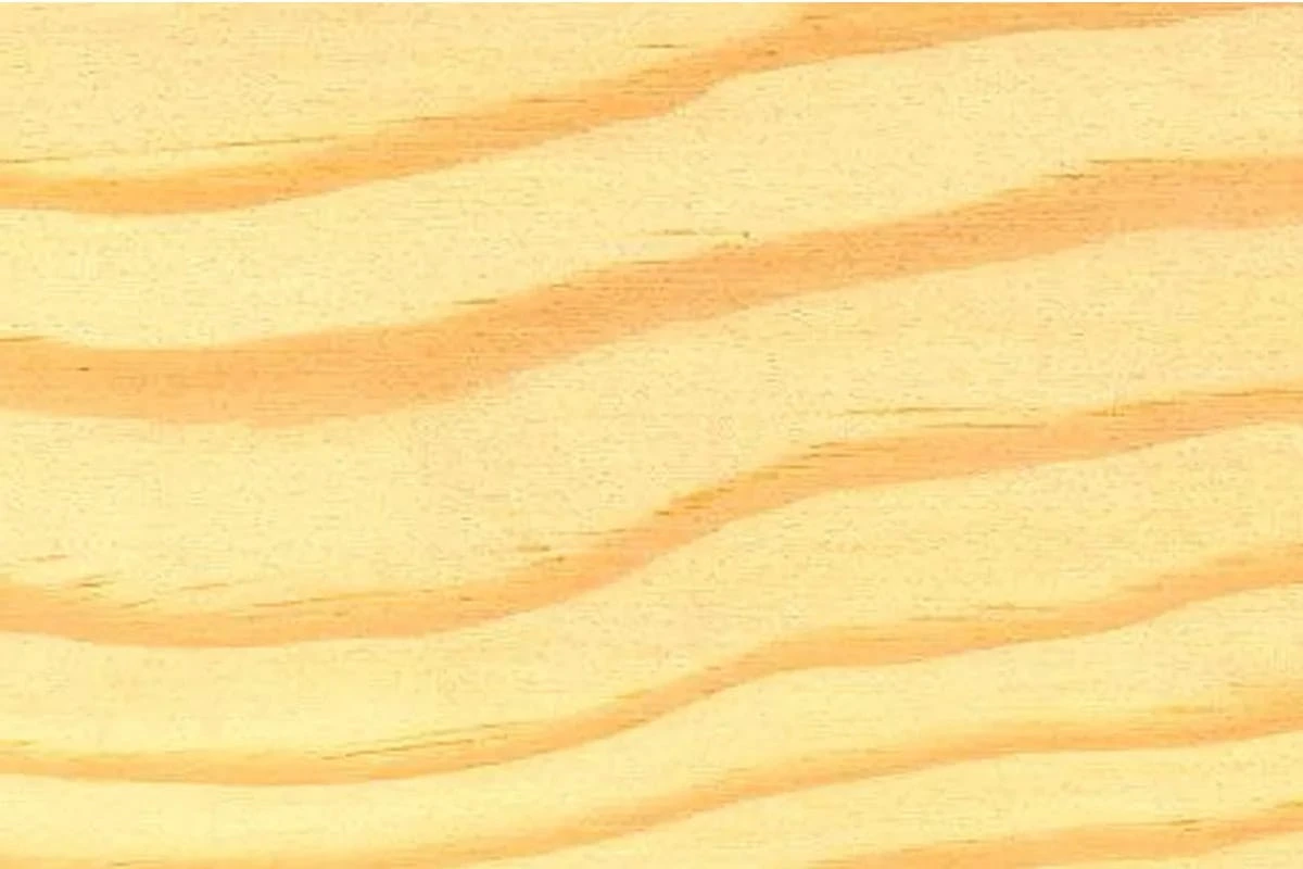 CANTO PREENCOLADO MADERA PINO ELLIOTIS 22mm