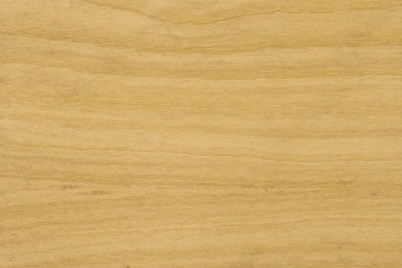 MDF ENCHAPADO GUATAMBU 19mm 2.60×1.83m