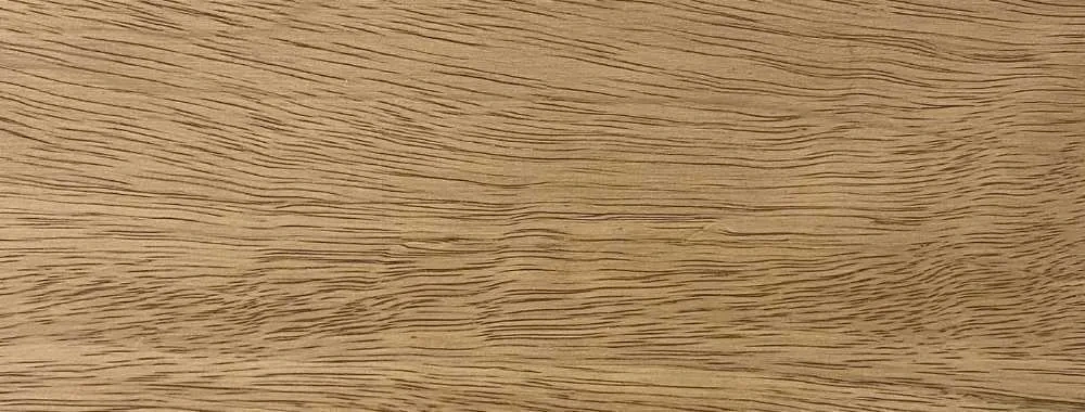 CEDRO MARA 2″