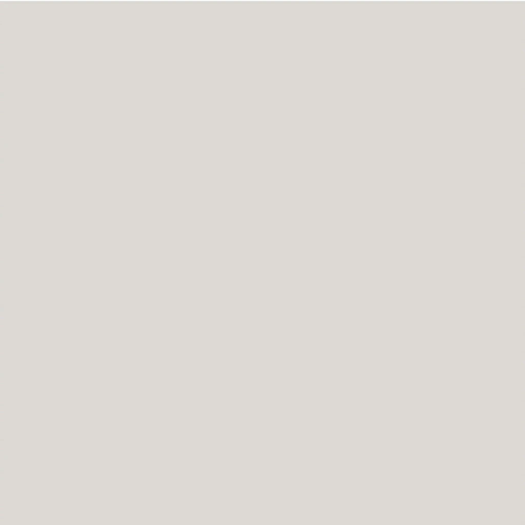 Ceramica Absolut Grey 60x60cm
