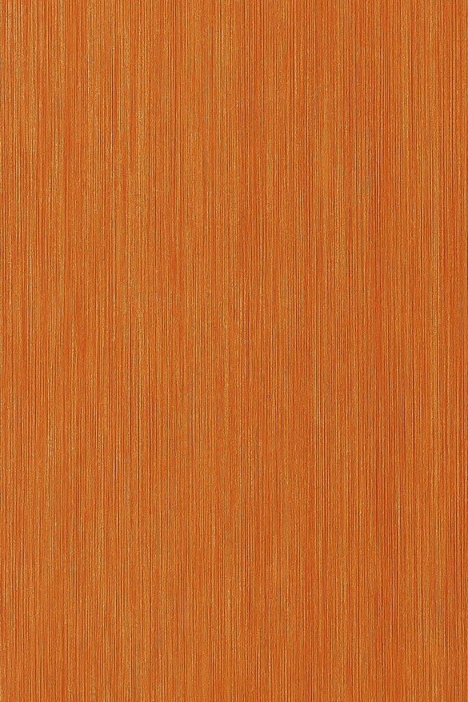 AMBIENTA MAKE IT - TABLA VINILICA AMBIENTA MAKE IT 24074410 PUMPKIN ORANGE184X950X3MM* (TABLAS)