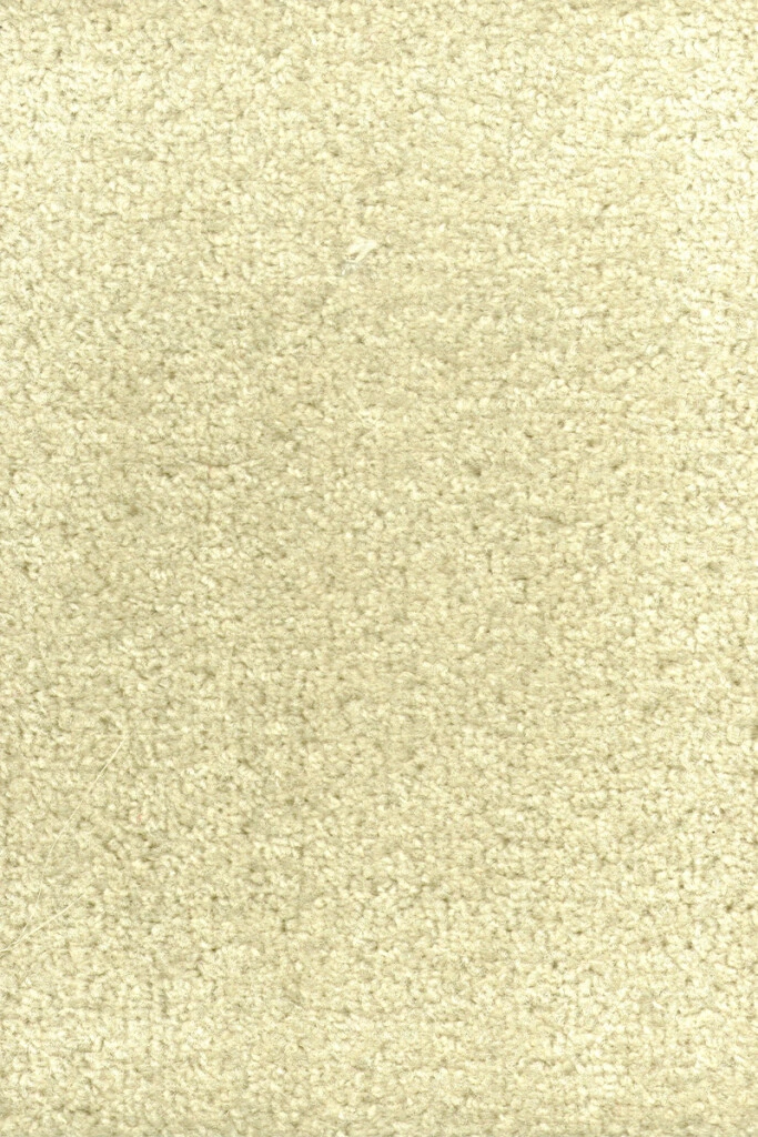 DYNASTY - MOQUETTE DYNASTY IVOOR 60 ANCHO 4M (M)
