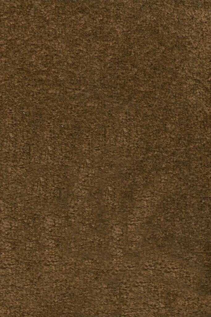 DYNASTY - MOQUETTE DYNASTY BRUIN 97 ANCHO 4M (M)