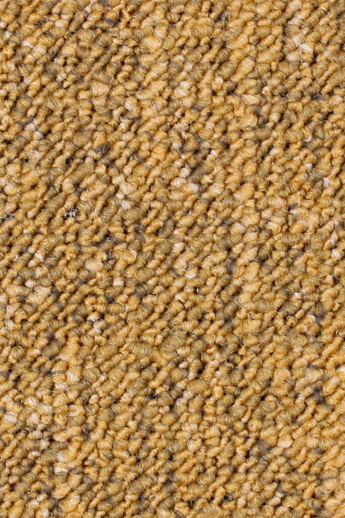 ALTO - MOQUETTE ALTO 22 GEEL BUCLE (M)