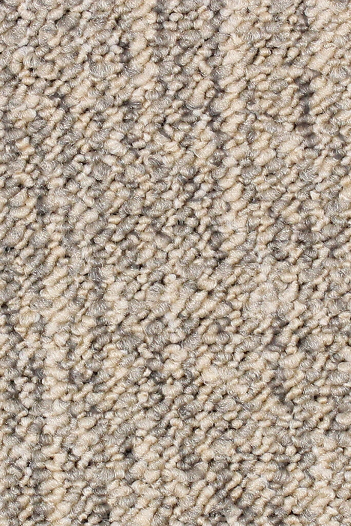 ALTO - MOQUETTE ALTO 63 BEIGE BUCLE (M)