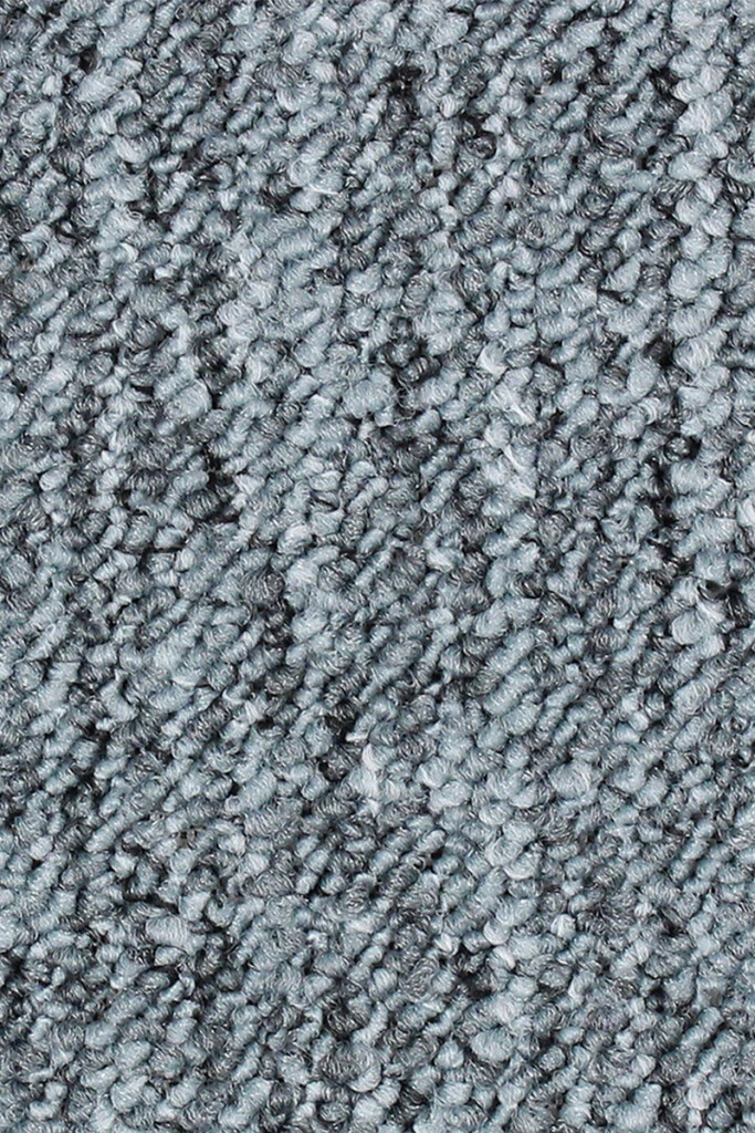 ALTO - MOQUETTE ALTO 81 BAUW BUCLE (M)