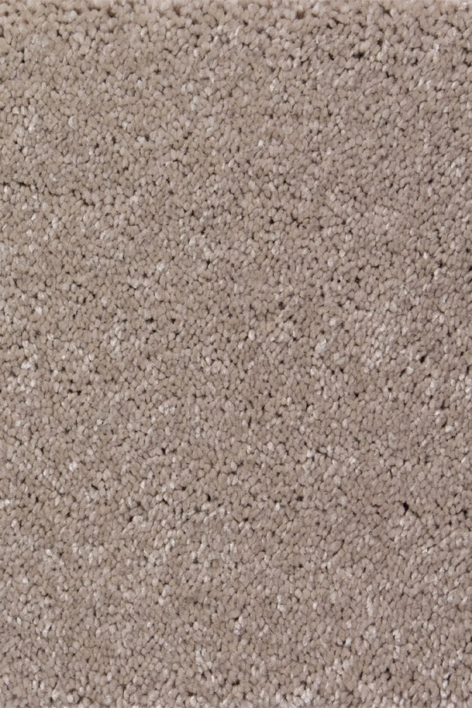 Devotion - MOQUETTE DEVOTION M BEIGE 65 ANCHO 4M (M)