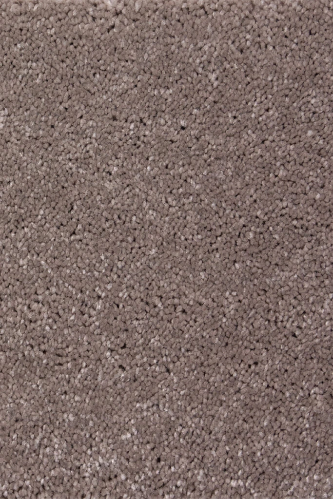 Devotion - MOQUETTE DEVOTION BROWN 91 ANCHO 4M (M)