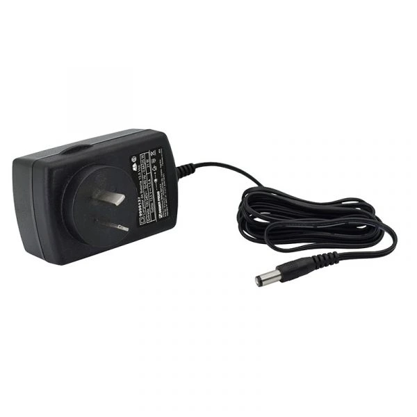 DOWEN PAGIO CARGADOR P/BATERIA 12V (9992981)
