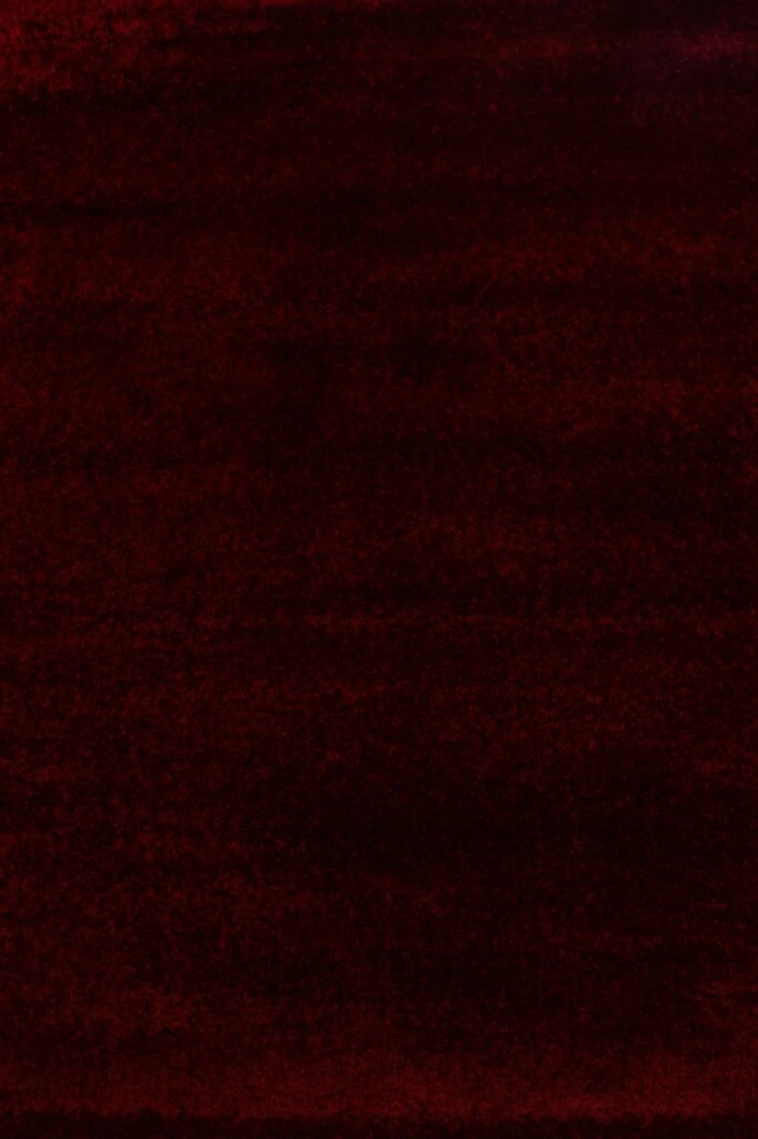 SUPER SOFTNESS - ALFOMBRAS SUPER SOFTNESS SSF/2144/F670/ 200X290 CLARET (UNIDAD)