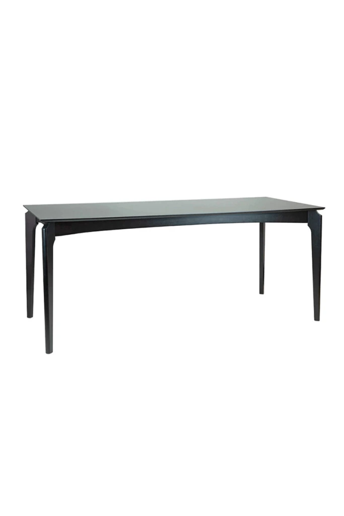 Canela - MESA COMEDOR CANELA MADERA NEGRA 159X90X76H (UNIDAD)