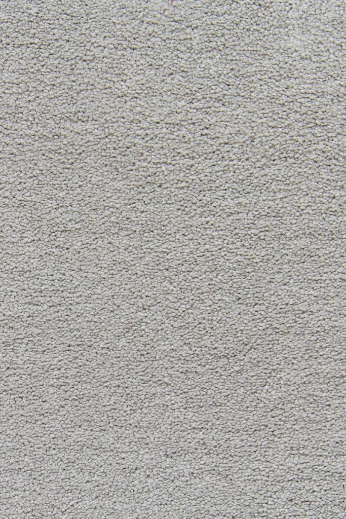 SENSUALITE - MOQUETTE SENSUALITE 008 ESSENTIAL (M)