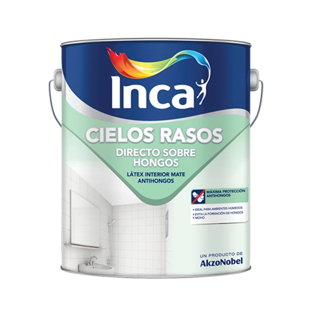 Cielo raso directo sobre hongos Blanco 4L