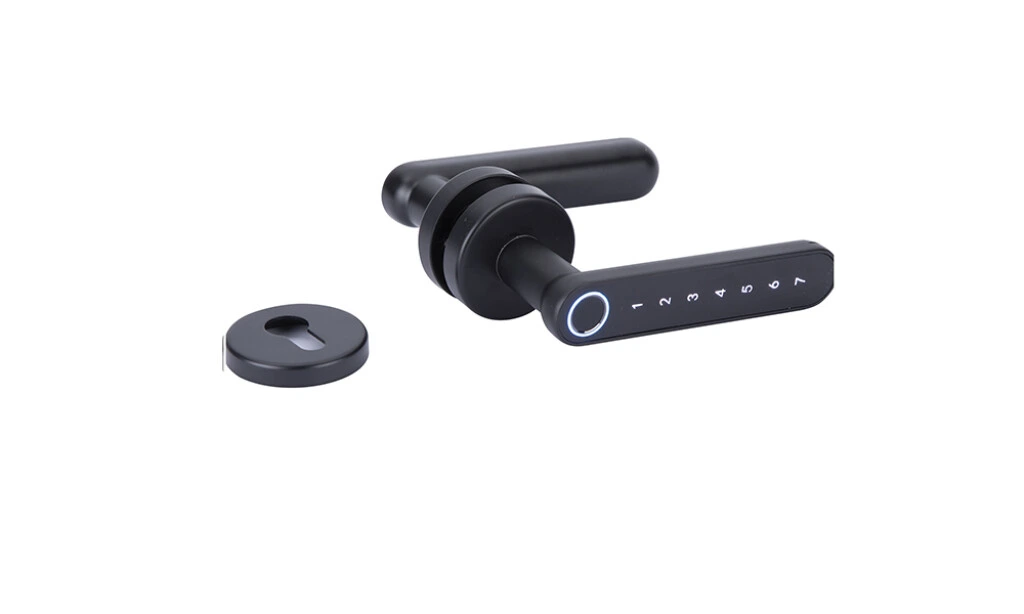 MANIJA ELECTRONICA IQ-R-BLE - 02-ne