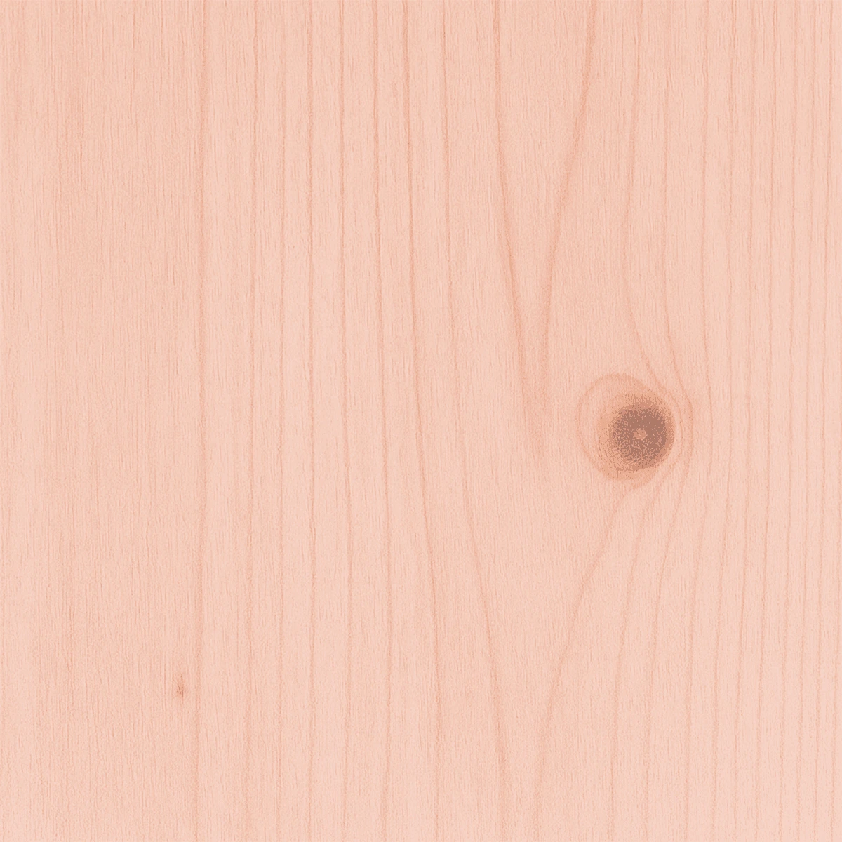 Madera de Eucaliptus Grandis 2″ × 15 cm × 2,40 m
