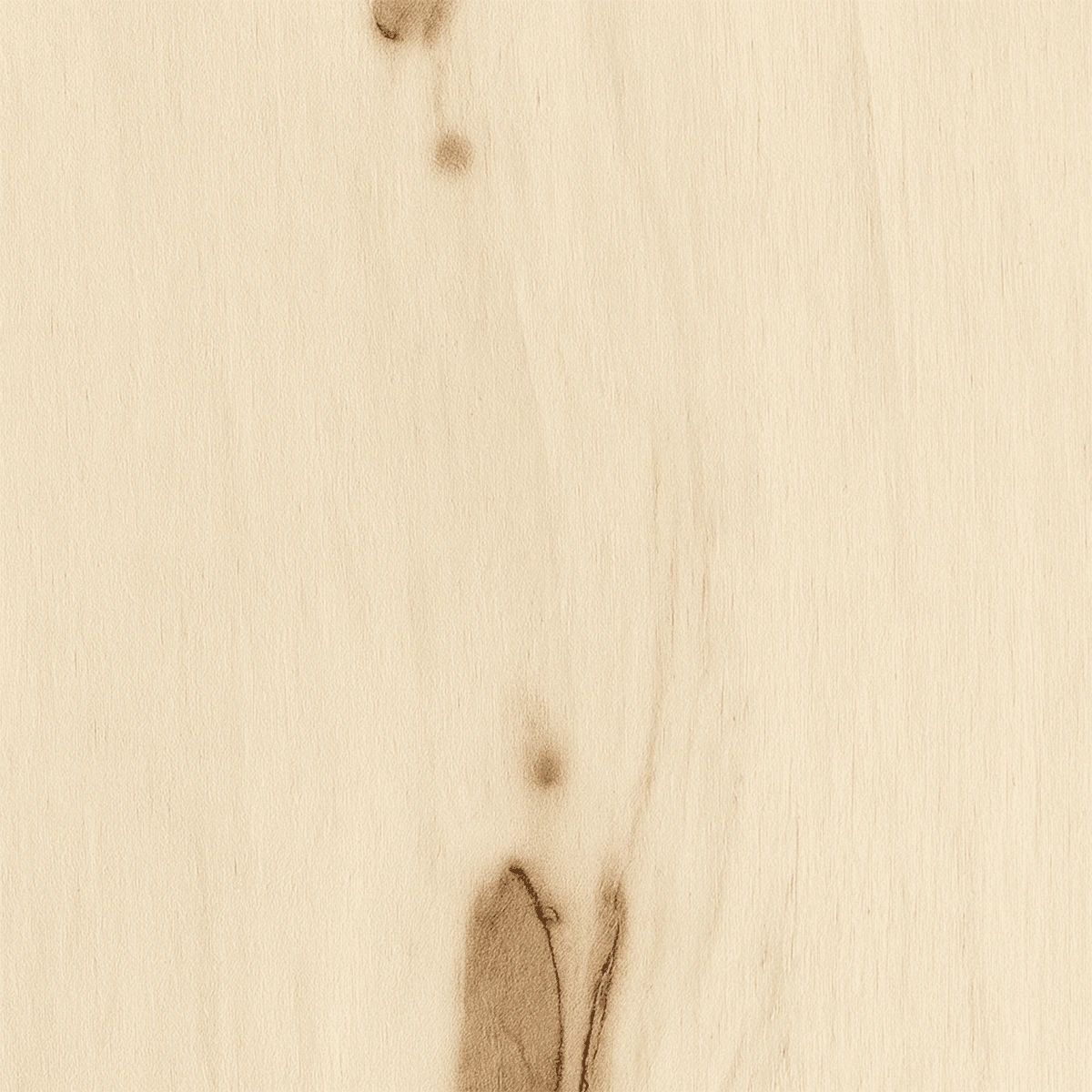 Madera de Álamo