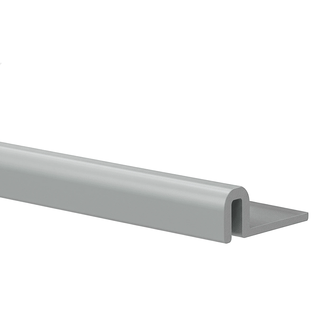 Riel Inferior D52 2 m