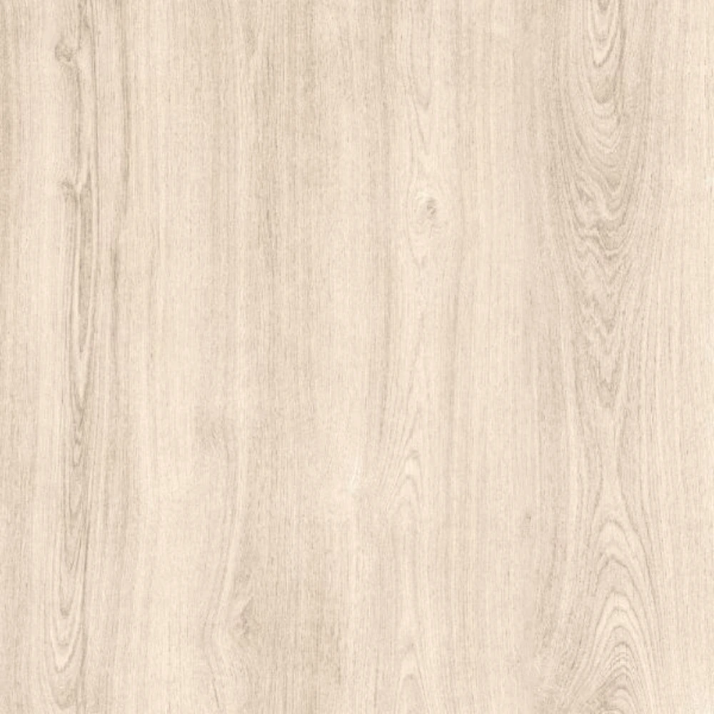 Madera Studio 50 x 50