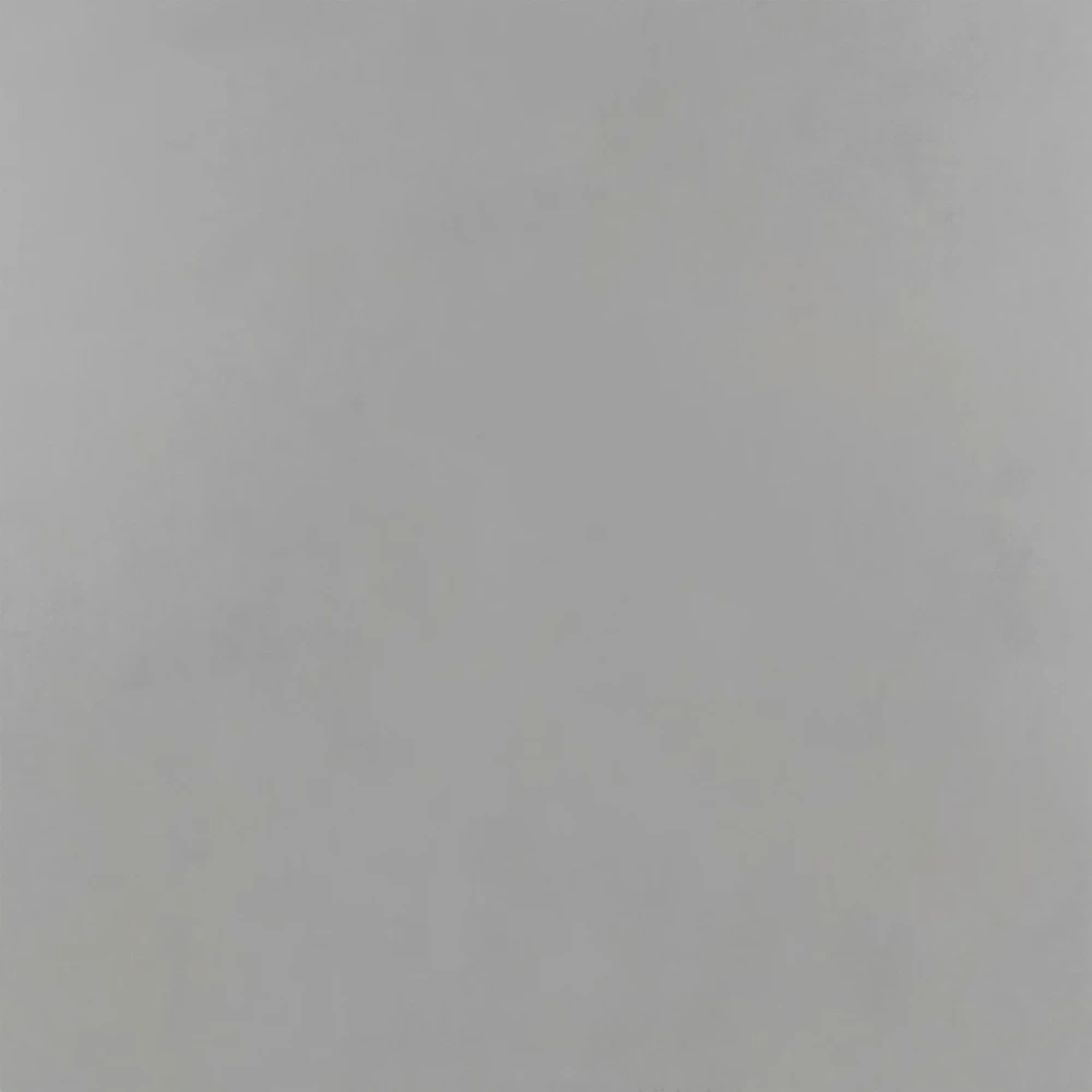 Porcelanato PP Pro Max Cement AC