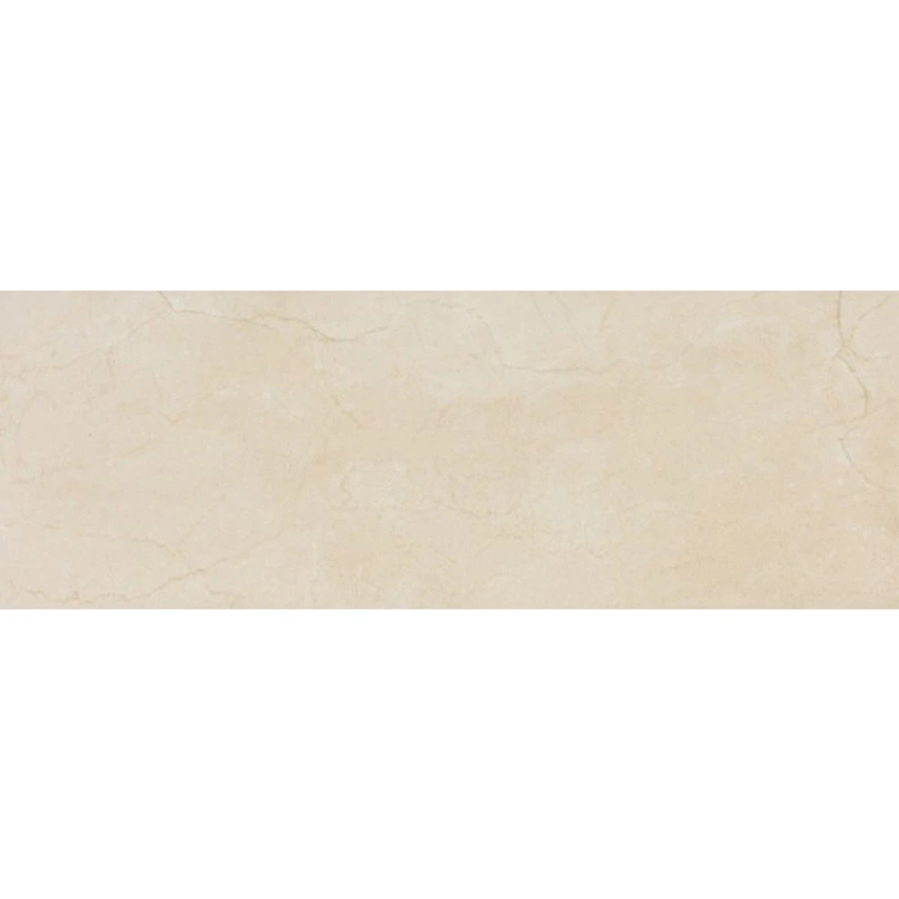 Rev. Magna Bone (Base)