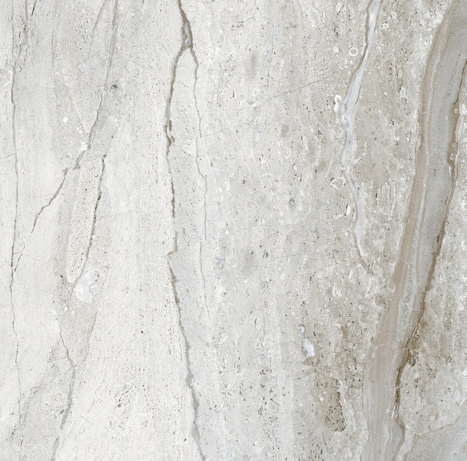 Porc. Palazzo Platino 80×80