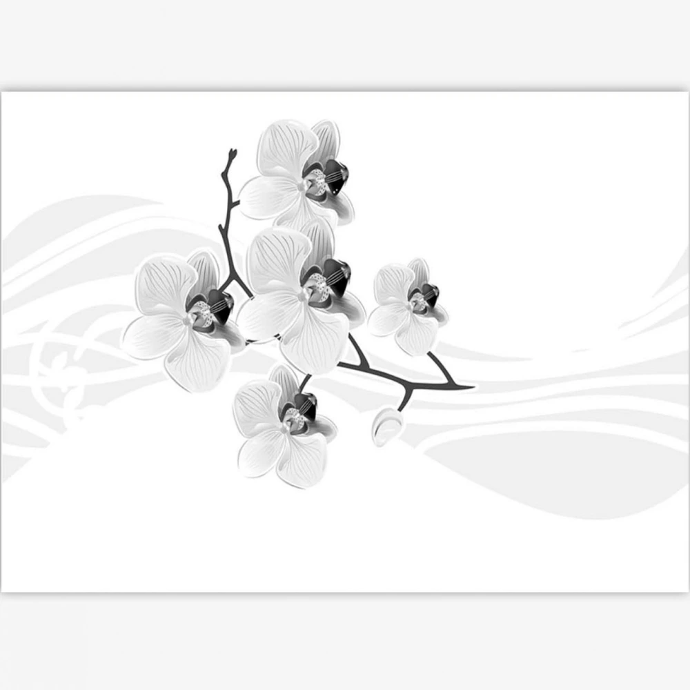 Rev. Orquidea