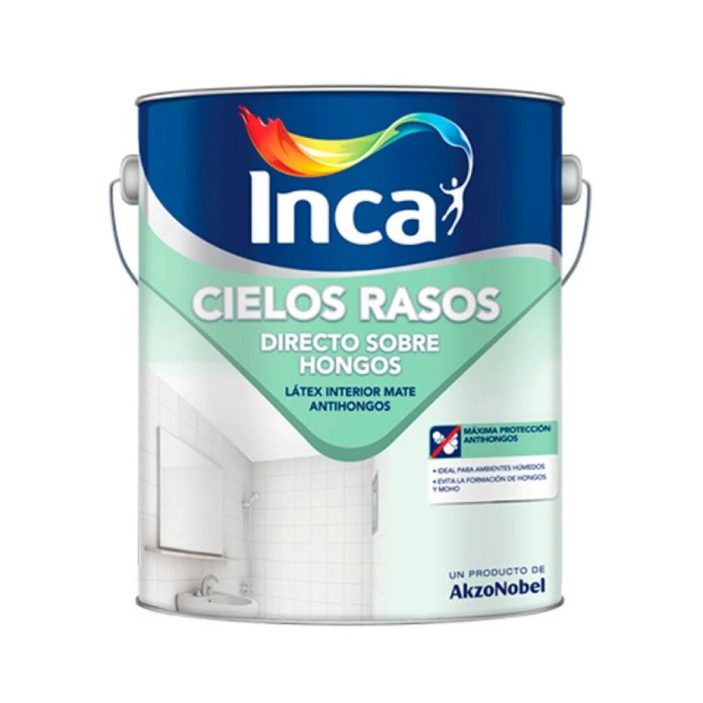 CIELO RASO INCA DIRECTO SOBRE HONGOS 20 LT