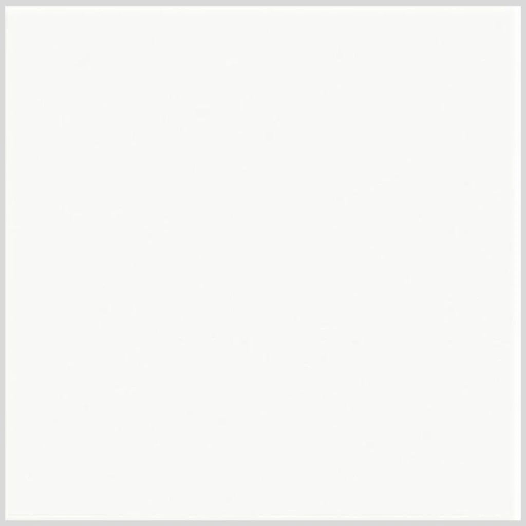 REVESTIMIENTO 20 X 20 BLANCO BRILLANTE