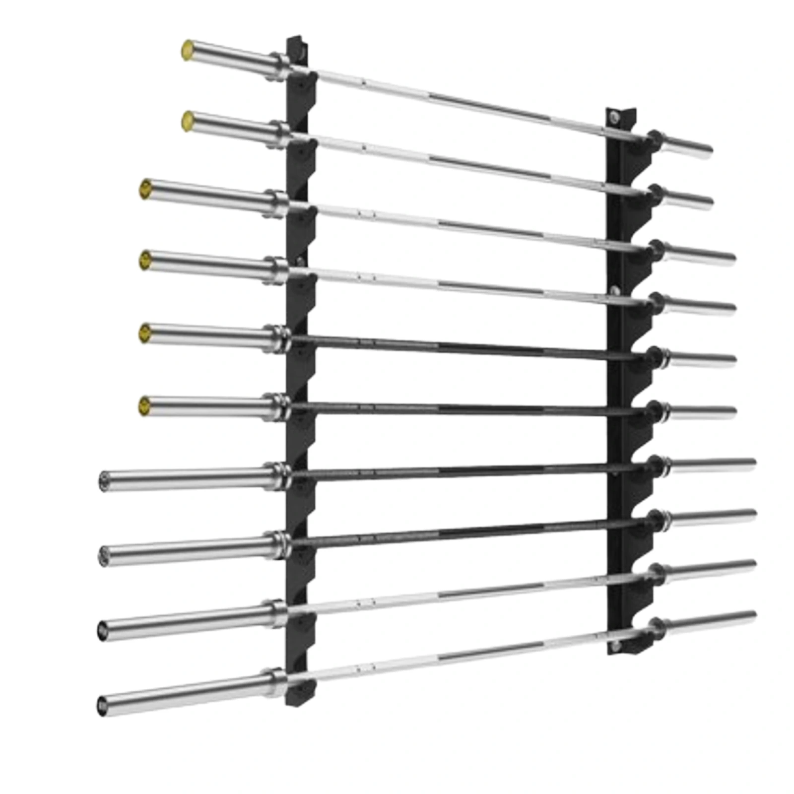 Soporte para Barras 12 Lugares 240kg Rack Gym Fitness RHINO