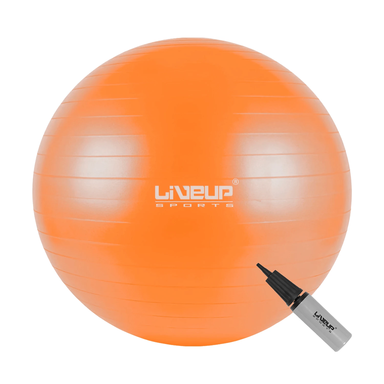 Pelota de Pilates Fitball 65cm Yoga Fitness Gym LIVEUP