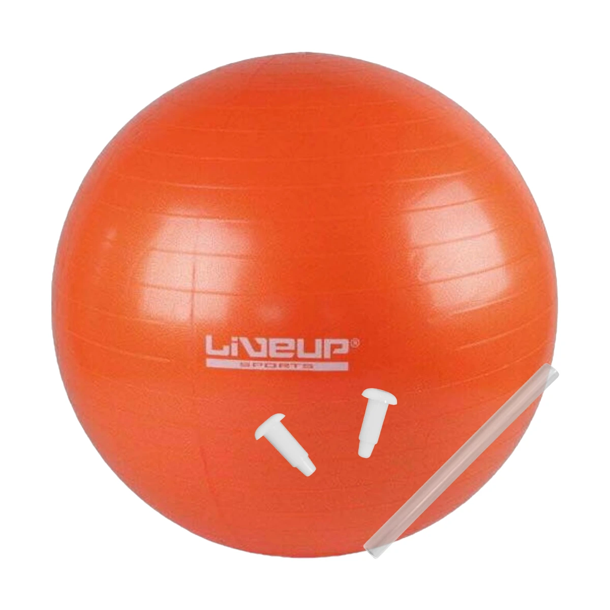 Mini Pelota Pilates Yoga Gym Entrenamiento 25cm LIVEUP